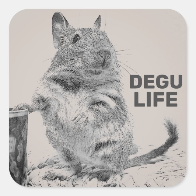 DEGU LIFE QUADRATISCHER AUFKLEBER (Vorderseite)