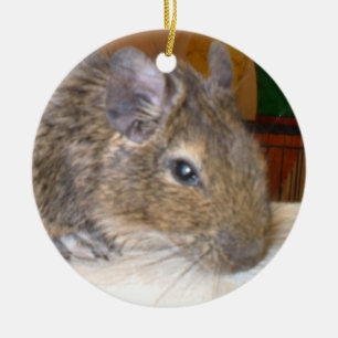 Degu Relaxen I Liebe Degus Ornament