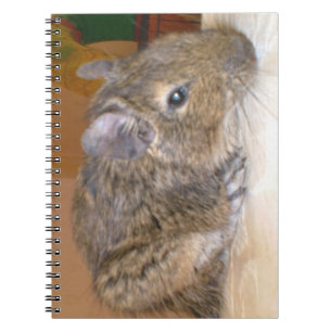 Degu Relaxing-Notebook Notizblock