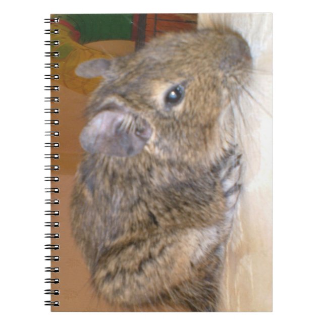 Degu Relaxing-Notebook Notizblock (Vorderseite)