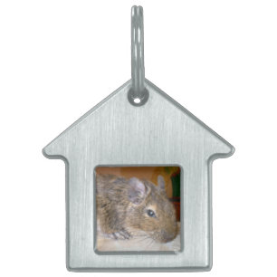 Degu Relaxing Pet Tag Tiermarke