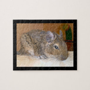 Degu Relaxpuzzle Puzzle