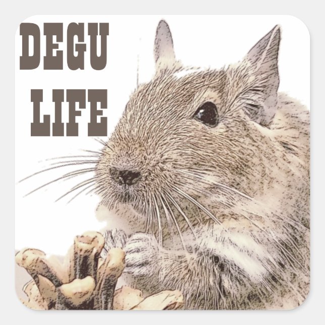► DEGU ►   Rodents Quadratischer Aufkleber (Vorderseite)