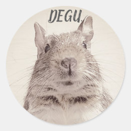 ♧ DEGU ♧ RUNDER AUFKLEBER