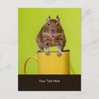Degu sitzt auf einer Tasse