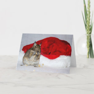 Degu u. Weihnachtsmannmütze-Weihnachten Feiertagskarte