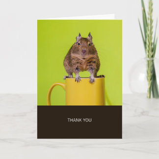 Degu Yellow Cup Danke