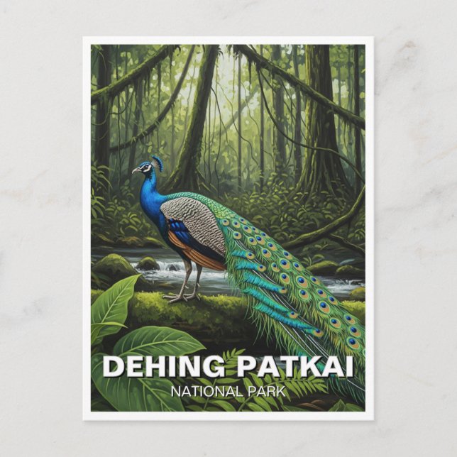 Dehing Patkai Nationalpark Indien Reisen Postkarte (Vorderseite)