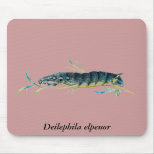 Deilephila elpenor Raupe Mousepad
