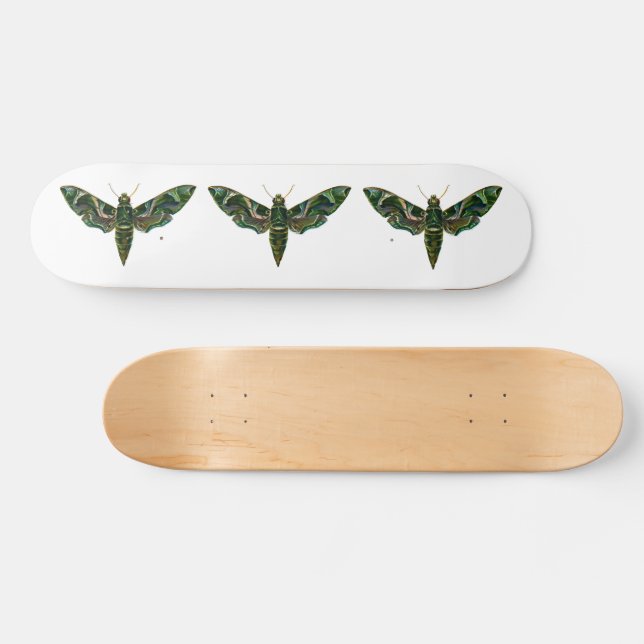 Deilephila Nerii - Oleander Hawk-Moth Skateboard (Horizontal)