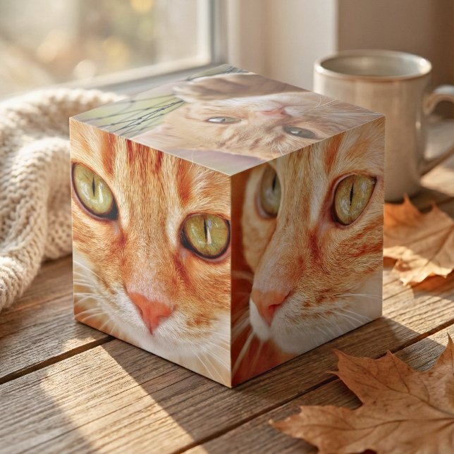Dein Begleiter: Benutzerdefinierter Foto-Cube Würfel (Custom Cat Photo Cube)