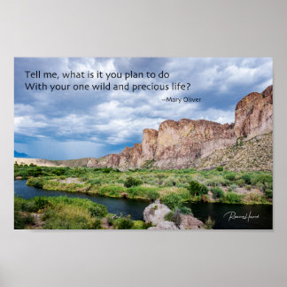 Dein Ein wildes und Wertvolles Leben Poster