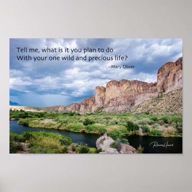 Dein Ein wildes und Wertvolles Leben Poster (Vorne)