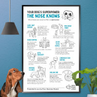 Dein Hund hat Superkräfte - Die Nase weiß Bescheid