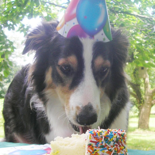"Dein Kuchen haben und es auch essen!" Dankeskarte (Von Creator hochgeladen)