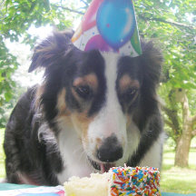 "Dein Kuchen haben und es auch essen!" Weihnachtsk