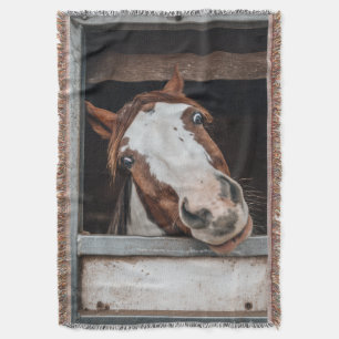 Dein Pferdefoto Pony individuelles Reitsportgesche Decke