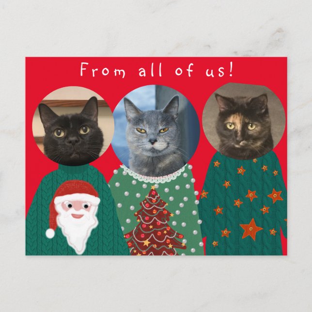 Deine 3 Katzen in Ugly Christmas Sweaters Postkarte (Vorderseite)