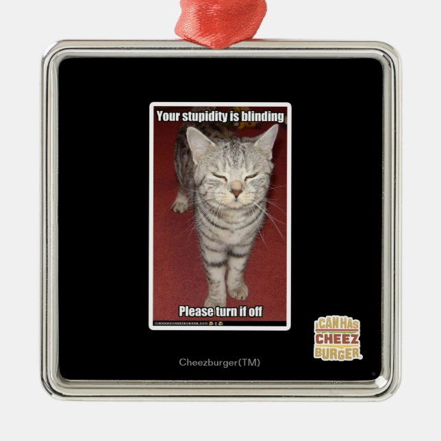 Deine Dummheit ist Blindheit 2 Silbernes Ornament (Vorne)