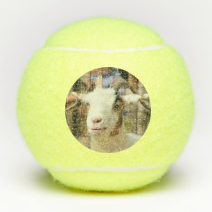 Deine Kamera sieht gut aus Tennisbälle