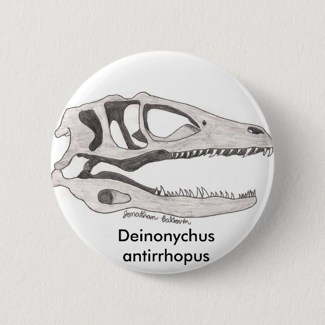 Deinonychus antirrhopus Knopf Button (Vorderseite)