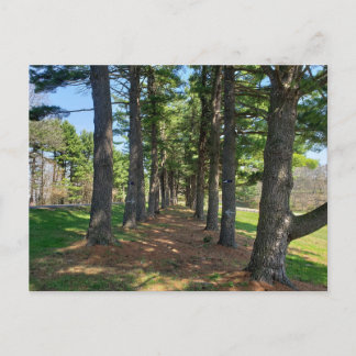 Deis Hill Park, Dover, Ohio Postkarte