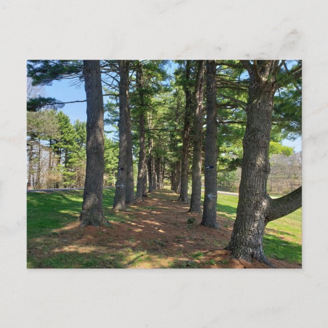 Deis Hill Park, Dover, Ohio Postkarte (Vorderseite)