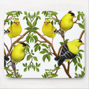 DekoGoldfinches in den Reben Mousepad
