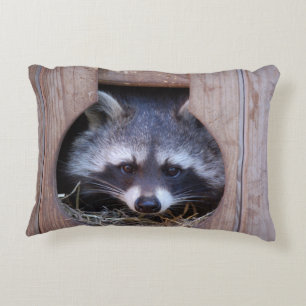 Dekokissen Waschbär Racoon Foto Jean-Louis Glineur