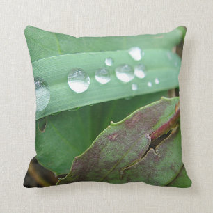Dekokissen Wassertropfen auf Gras