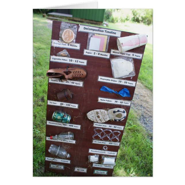 Dekomposition (Vorne)