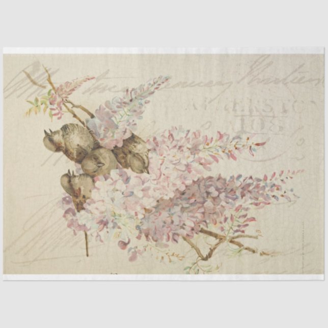 Dekopapier für Sweet Birdie Möbel Seidenpapier (Vorderseite)