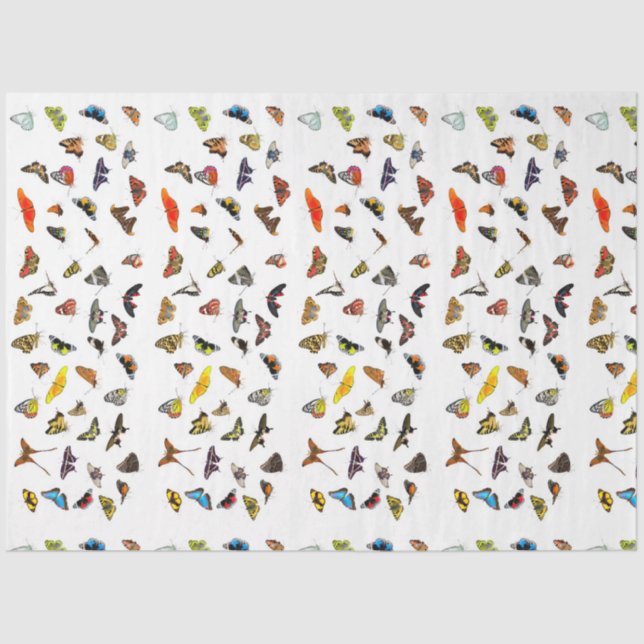 Dekopulationspapier Seidenpapier (Vorderseite)