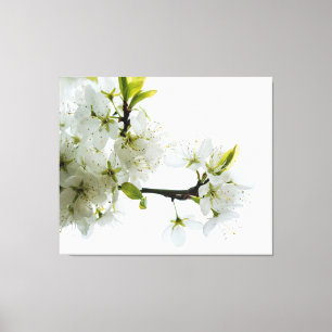 Dekor der Blume 89 Leinwanddruck