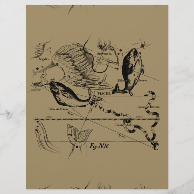 Dekor von Pisces Constellation Hevelius 1690 (Vorderseite)