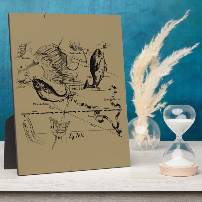 Dekor von Pisces Constellation Hevelius 1690 Fotoplatte (Seite)