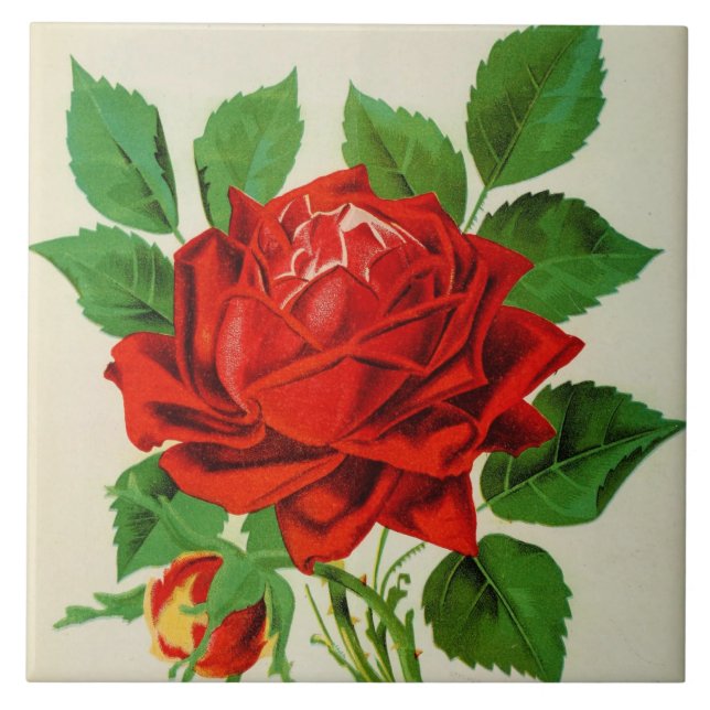 Dekoration in niedlicher Vintager rote Rose Fliese (Vorderseite)