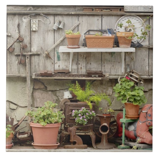 Dekorationen auf Holzzaun, Fliese (Vorderseite)