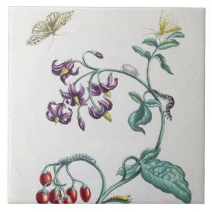 Dekorationen mit Vintage-Blumen und -Insekten hers Fliese