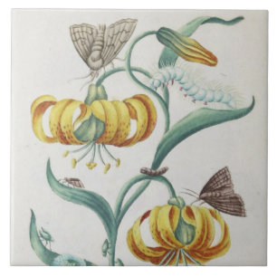 Dekorationen mit Vintage-Blumen und -Insekten hers Fliese