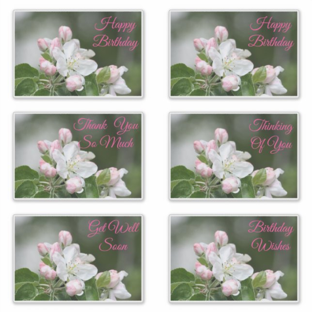 Dekorationskleber für Jeden Anlaß Aufkleber (Vorderseite)