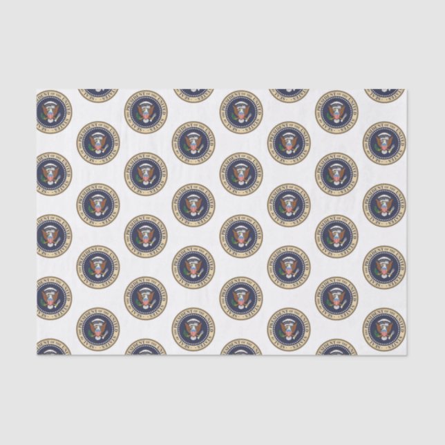 Dekorationspapier Präsident Seidenpapier (Vorderseite)