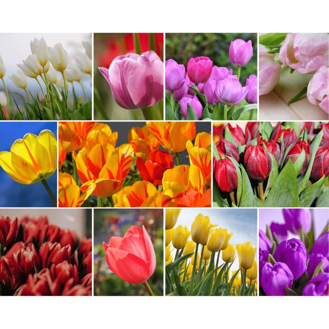 Dekorative Blume Glasschneidebrett Schneidebrett (Von Creator hochgeladen)