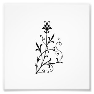 Dekorative Blumen blühen Fotodruck