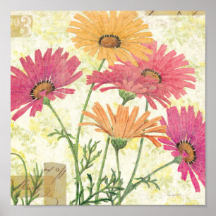 Dekorative Daisies Poster