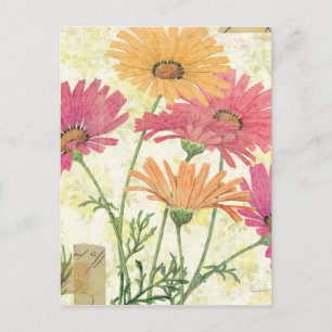 Dekorative Daisies Postkarte