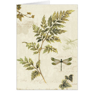 Dekorative Farne und eine Libelle