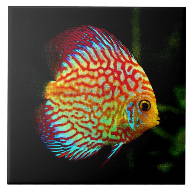 Dekorative Fliese der Discusaquarium-Fische (Vorderseite)