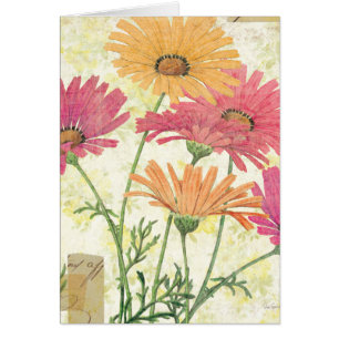 Dekorative Gänseblümchen