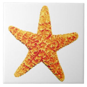 Dekorative Keramikstarfish-Fliese Fliese